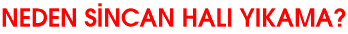 NEDEN S�NCAN HALI YIKAMA?